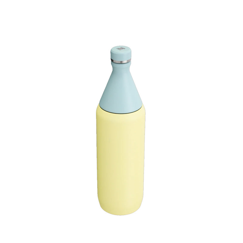 98194PT BOTELLA ALL DAY SLIM 20oz POMELO MARCA STANLEY