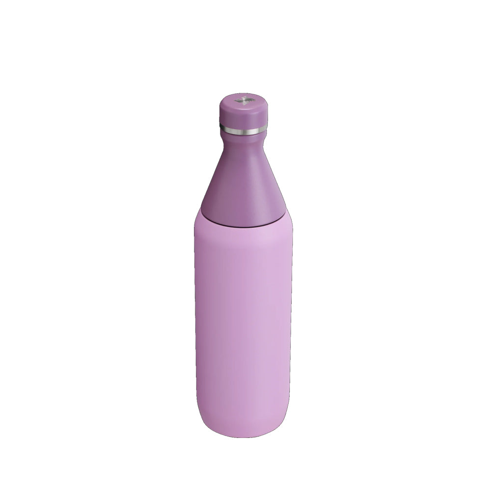 BOTELLA STANLEY ALL DAY SLIM 20oz LILAC 98195PT