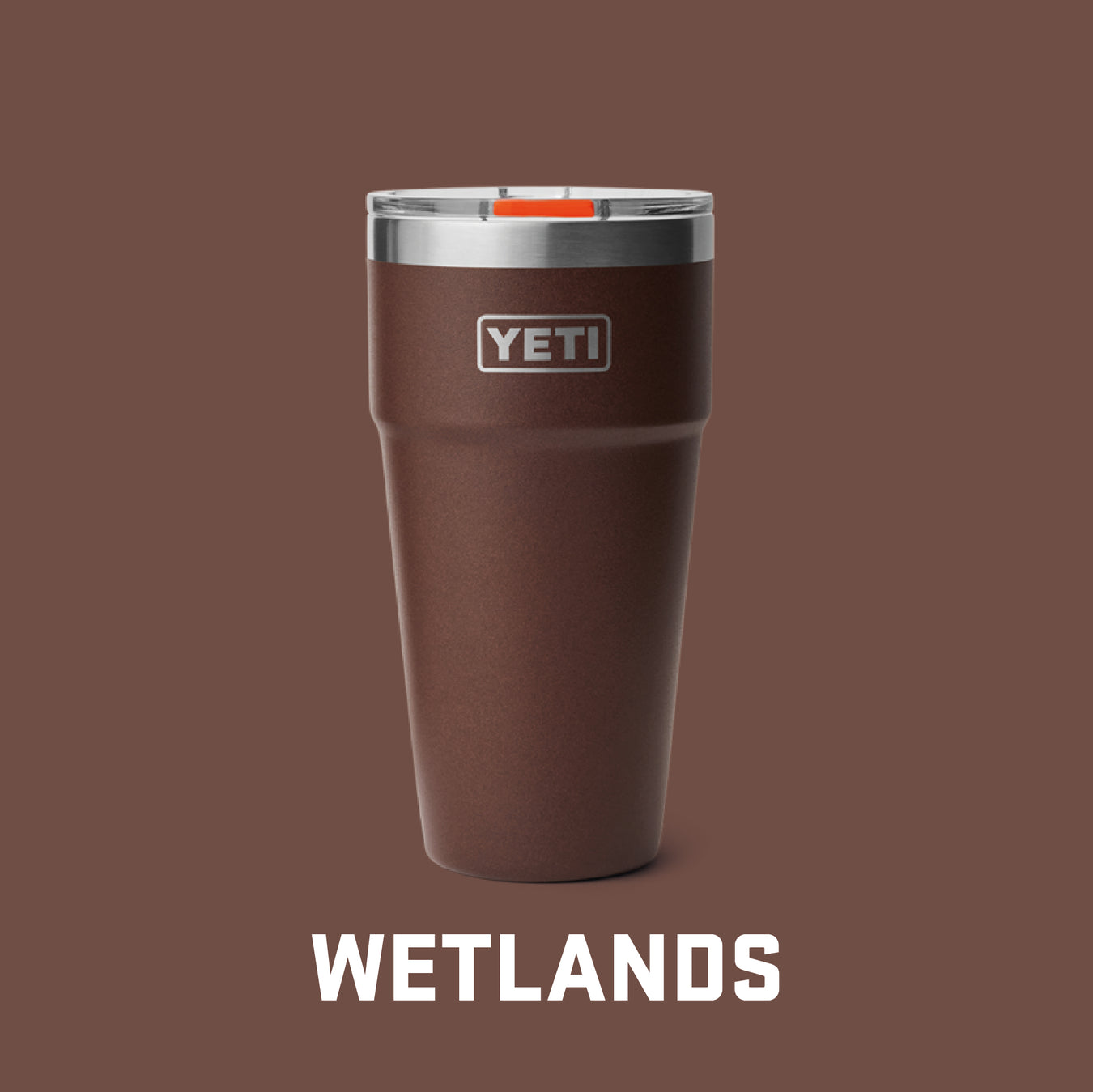 WETLANDS BROWN